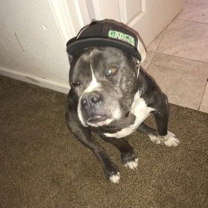 Meet your Posher, Tommy